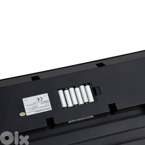 Roland E-X20 Arranger Keyboard 2