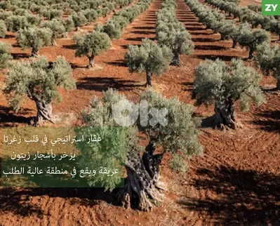 LAND/أرض/زغرتا/Zgharta/في بيئة طبيعية ساحرة/ REF#ZY135890 !