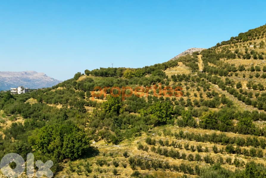 Land For Sale In Laqlouq - CPJGK100 0
