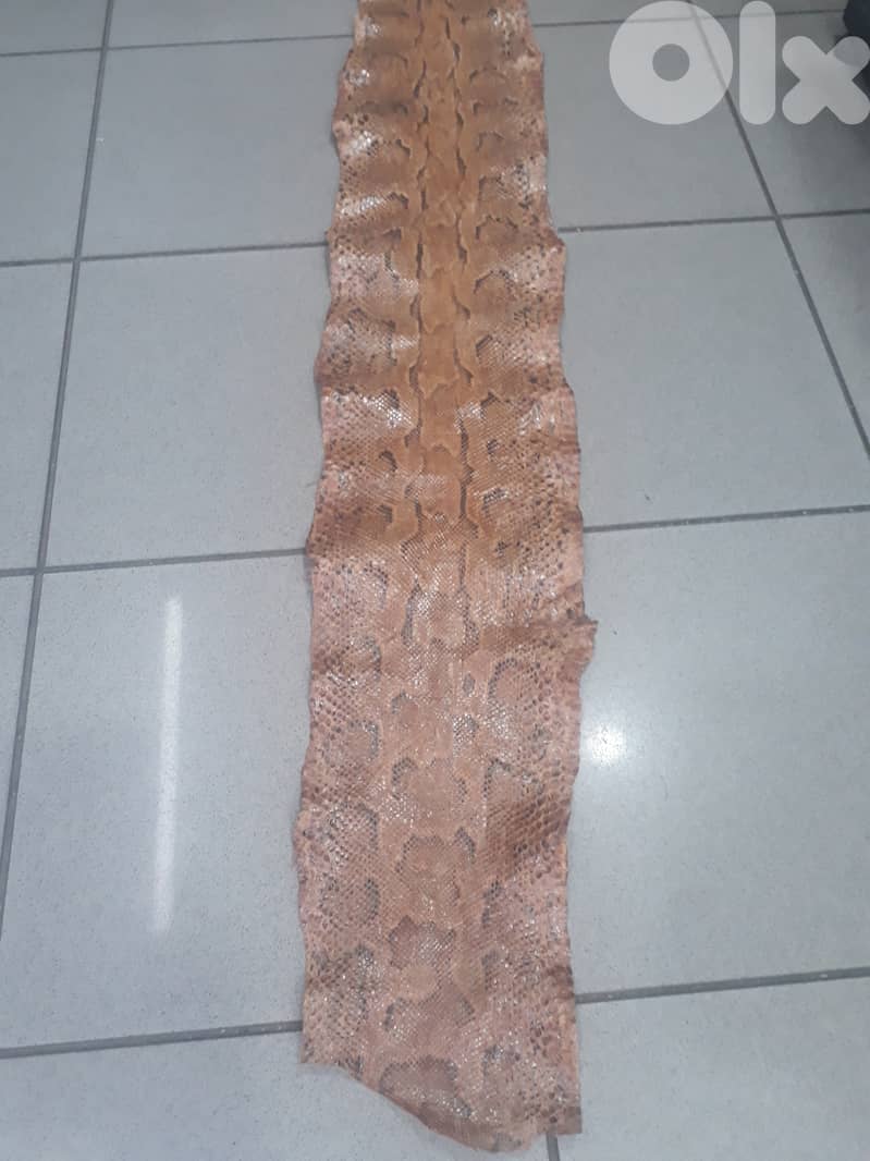 leather 2 meter long 100 $ 0