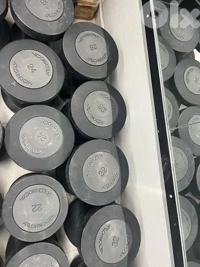 original technogym dumbell set