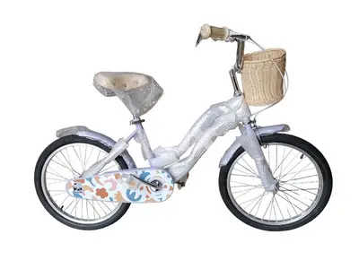 20 inch bicycle