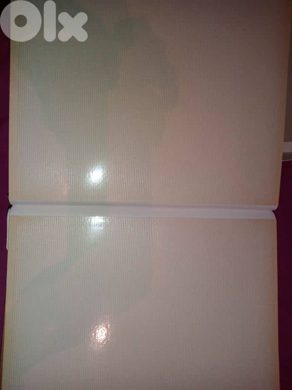 gold Pioneer photo album 2