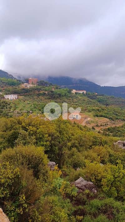 land for sale in Douma أرض للبيع في دوما