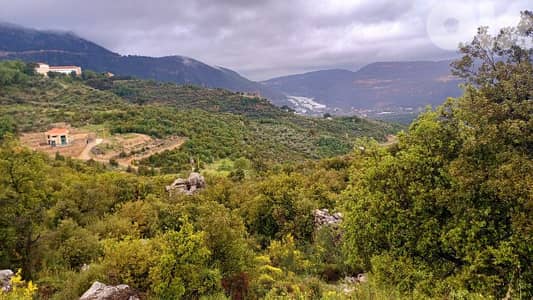 land for sale in Douma أرض للبيع في دوما