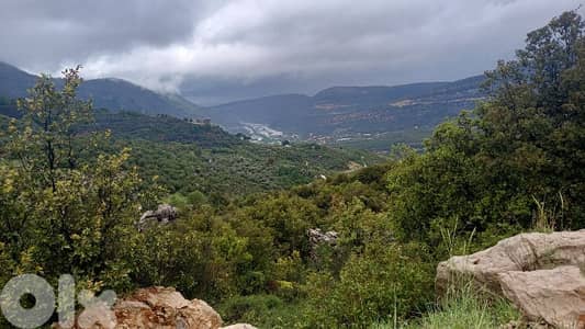 land for sale in Douma أرض للبيع في دوما