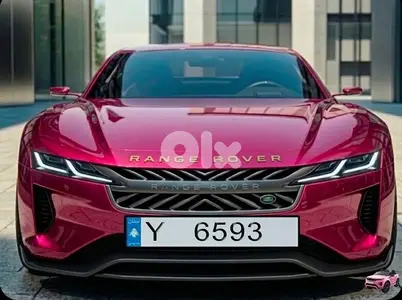 Special Number Y 6593