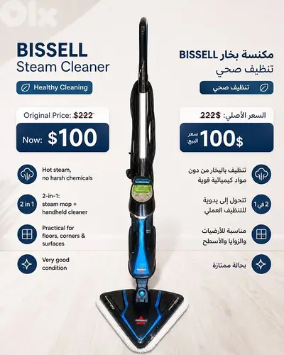 BISSELL Steam Cleaner — Healthy Cleaning