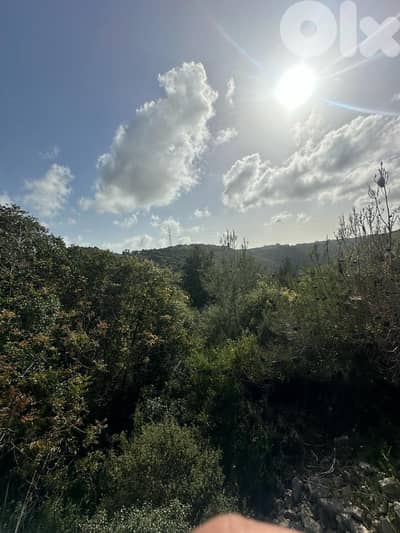 Land for sale in Chehim Chouf عقار للبيع في شحيم الشوف