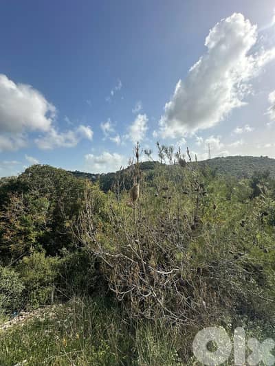 Land for sale in Chehim Chouf عقار للبيع في شحيم الشوف