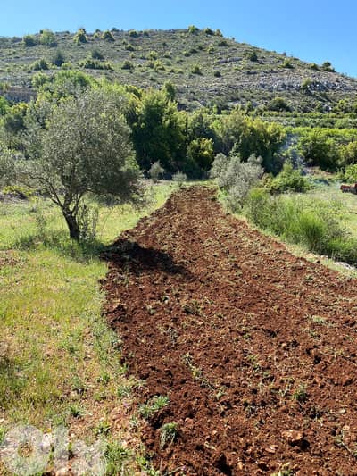 Land for sale in Jbaa Chouf عقار للبيع في جباع الشوف
