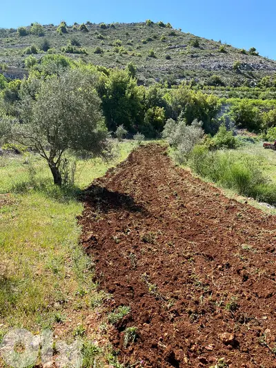 Land for sale in Jbaa Chouf عقار للبيع في جباع الشوف