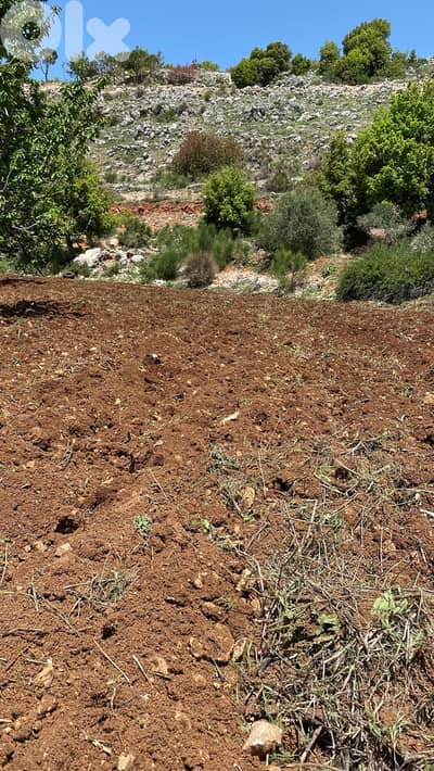 Land for sale in Jbaa Chouf عقار للبيع في جباع الشوف