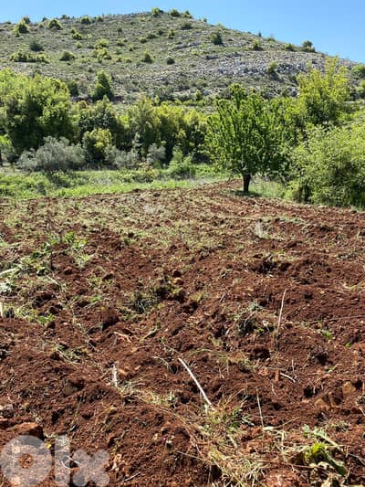 Land for sale in Jbaa Chouf عقار للبيع في جباع الشوف