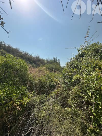 Land for sale in Damour Chouf عقار للبيع في الدامور الشوف