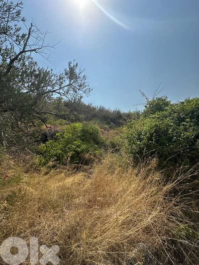 Land for sale in Damour Chouf عقار للبيع في الدامور الشوف