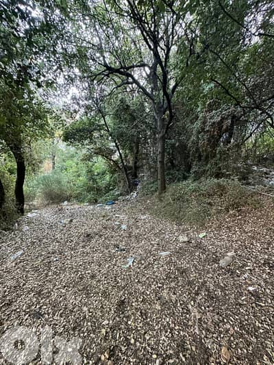 Land for sale in Batloun Chouf عقار للبيع في بتلون الشوف