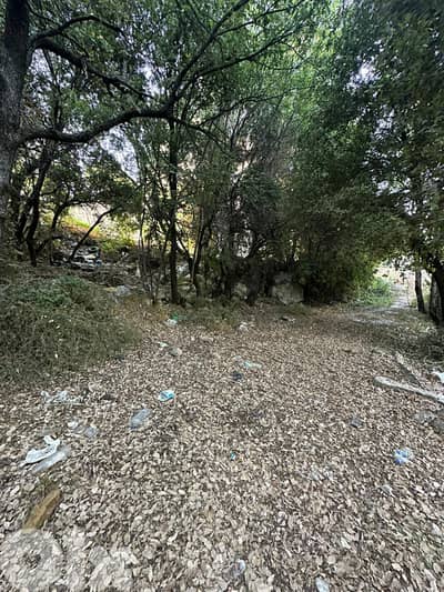 Land for sale in Batloun Chouf عقار للبيع في بتلون الشوف