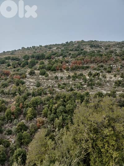 Land for sale in Mehmarch Batrounعقار للييع للبيع في محمرش
