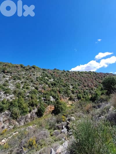 Land for sale in Assia Batrounعقار للييع في اسيا البترون