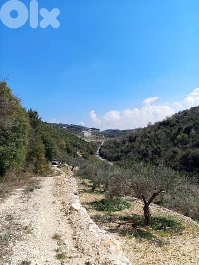 Land in Jrabta Batroun 5000m² ONLY for 300K في جربتا