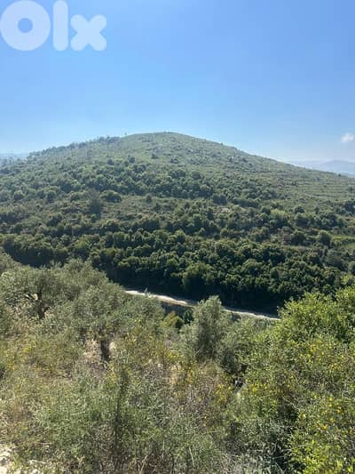 Land in Jrabta Batroun 5000m² ONLY for 300K في جربتا