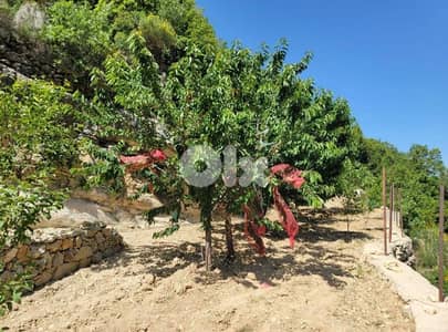 Land for sale in Mechmech 1000m² ONLY for 70K في مشمش