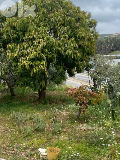 GMB144RM - Land For Sale in Batroun  - أرض للبيع في البترون
