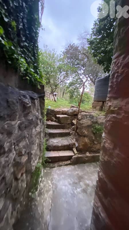 Charming conceptual Stone building with garden 4