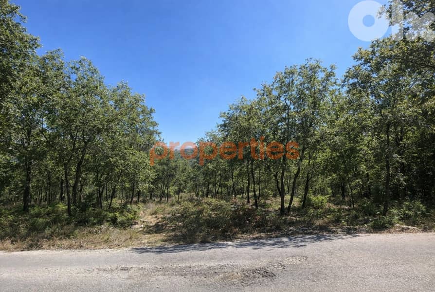 Land For Sale in Kfar Aaqab – CPBEC09 0