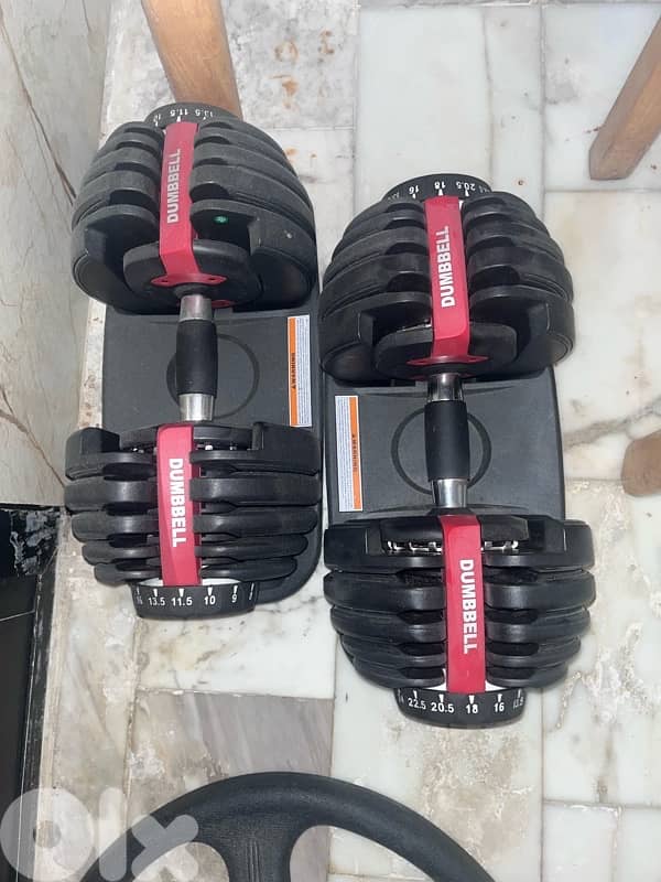 Adjustable Dumbbells 50kg, 25kg each 0