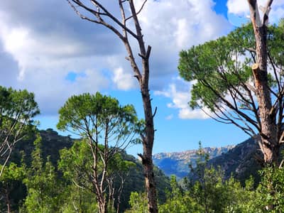 11,600 SQM Land in Baabdat (Qanabet Baabdat) overlooking the Mountains