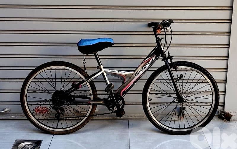 Japanese bicycle 24 2