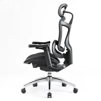 Sihoo Doro C300 ergonomic chair