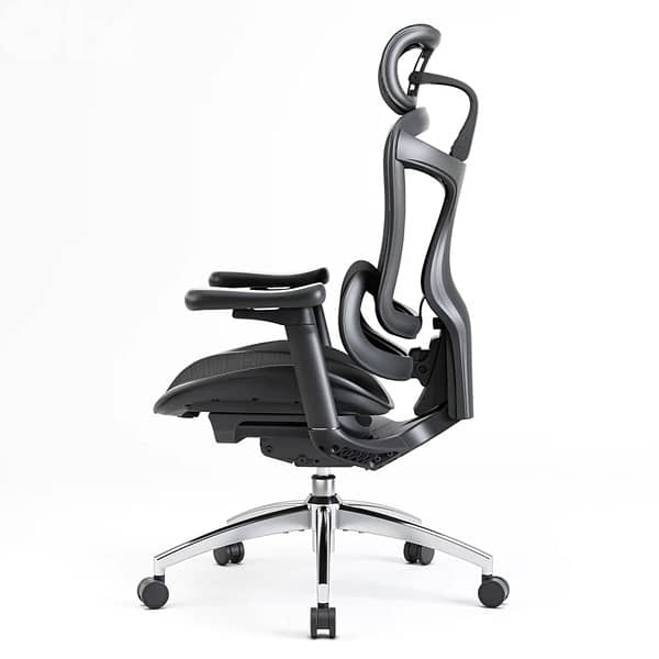 Sihoo Doro C300 ergonomic chair 0