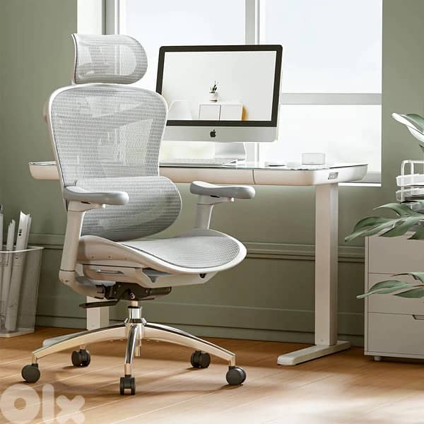 Sihoo Doro C300 ergonomic chair 2