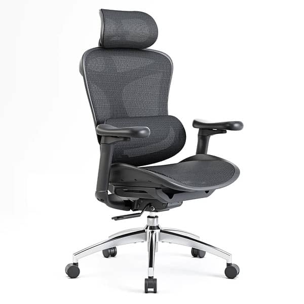 Sihoo Doro C300 ergonomic chair 3