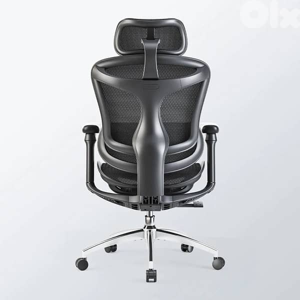 Sihoo Doro C300 ergonomic chair 6