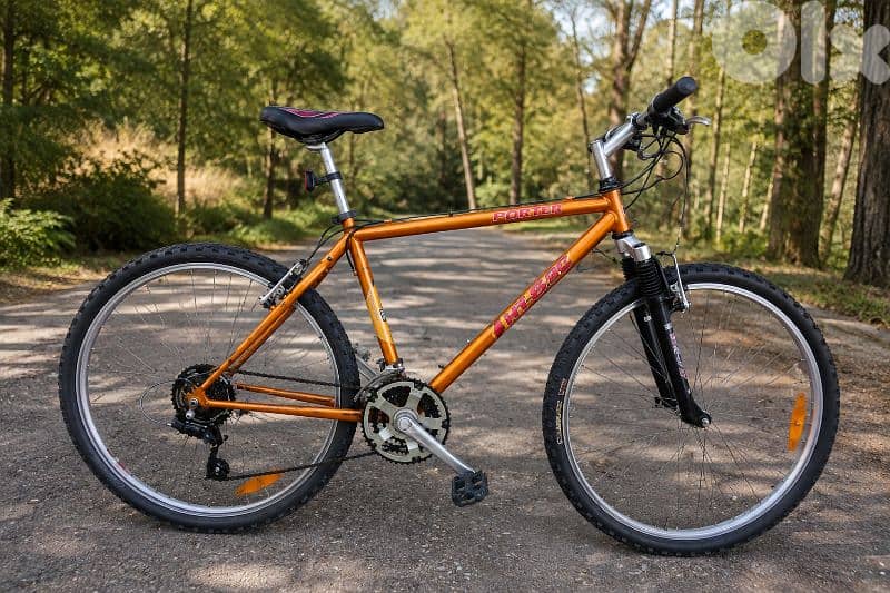 Mountain Bike – $220 0