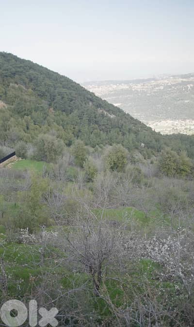 Land for sale in Ejbeh – Zgharta أرض للبيع في إجبع - زغرتا