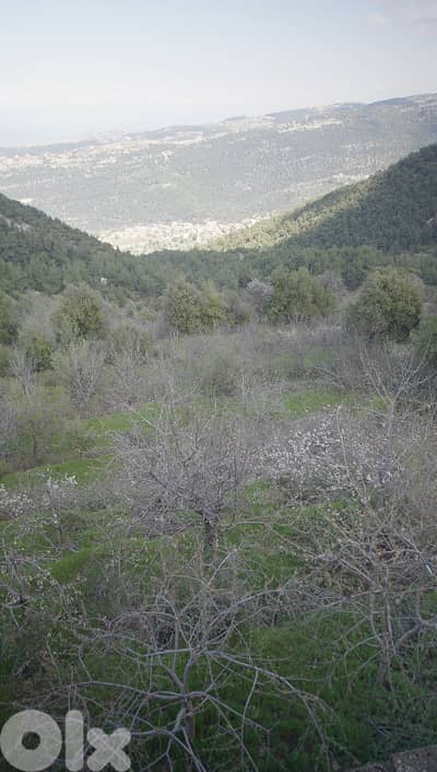 Land for sale in Ejbeh – Zgharta أرض للبيع في إجبع - زغرتا
