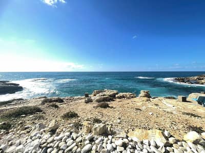 Land for sale in Berbara 3265m² ONLY for 2615K في البربارة