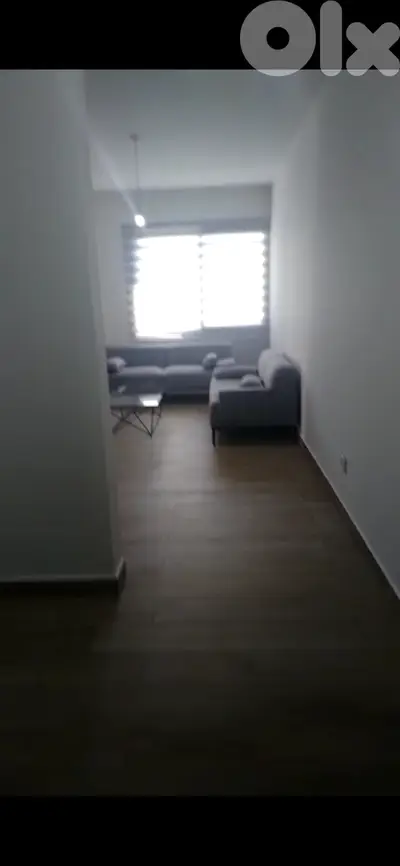 Furnished Apartment for Rent in Hazmieh