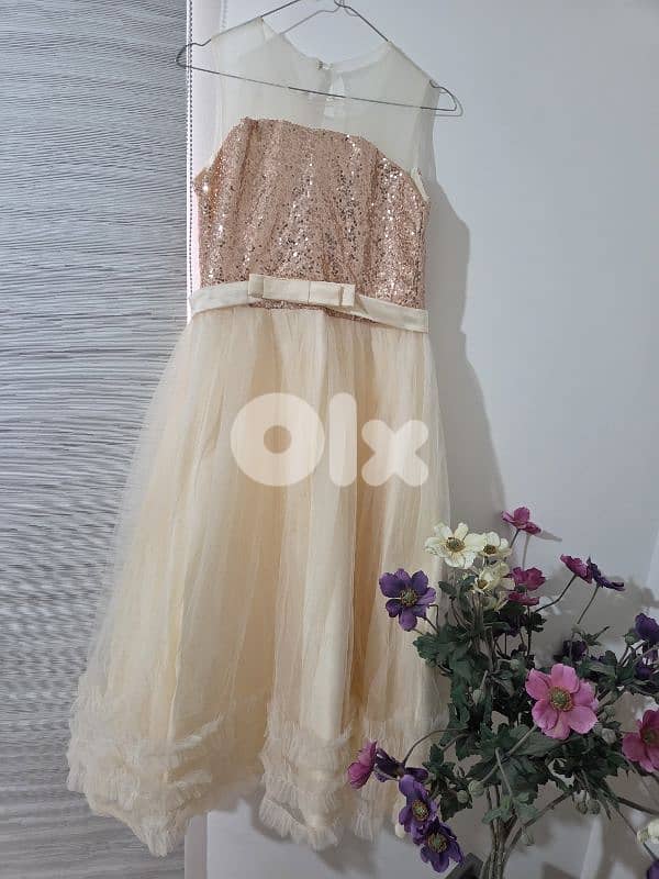 Clorhes dresses and corse 6