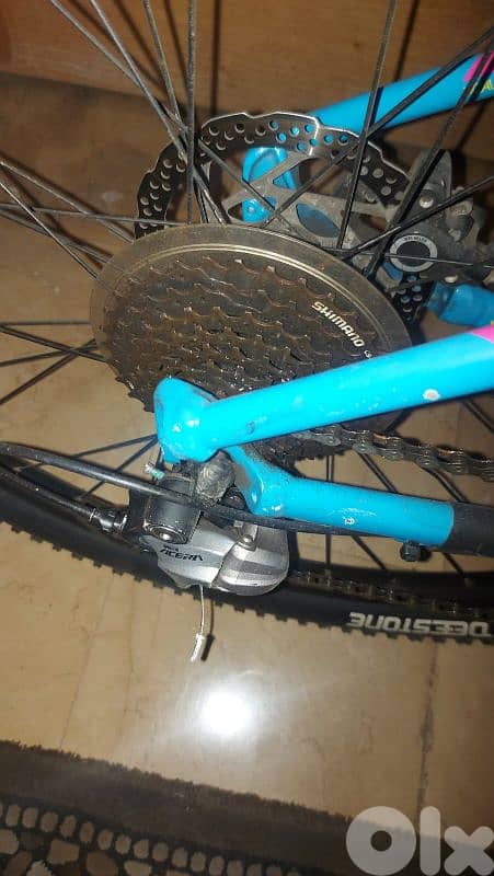 xcaliber 7 trek 1