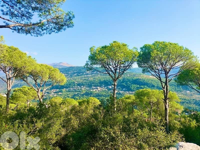 Amazing Land 1700 sqm for Sale in Baabdat – Prime Villa Zone 0