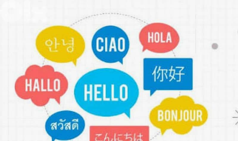 Teacher :English,french and arabic 0