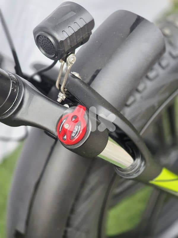 foldable electric bike Fatty New 1000w 6