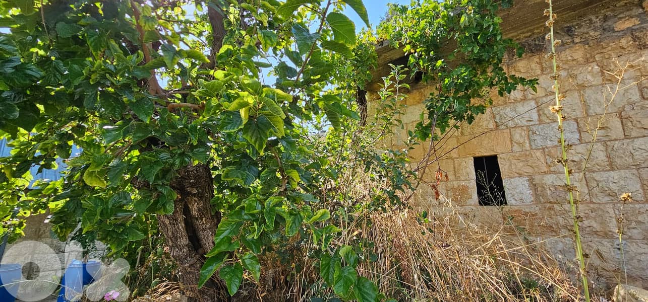 Land with a Townhouse for Sale in Kfardebian 3
