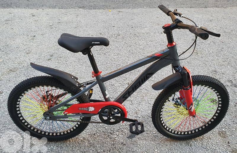kids bike 20" disc brakes (brand new) 1